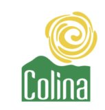 Colina (se abre en otra pestaña)